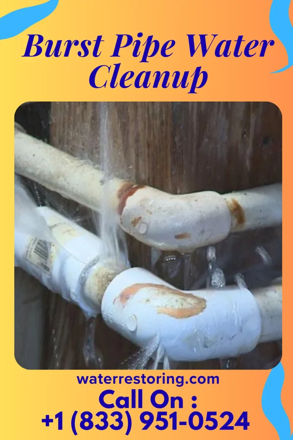 Burst Pipe Water Cleanup in Lenox, GA