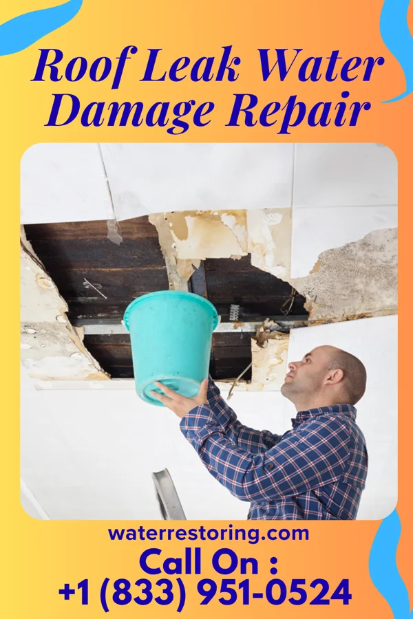 Roof Leak Water Damage Repair in Lenox, GA