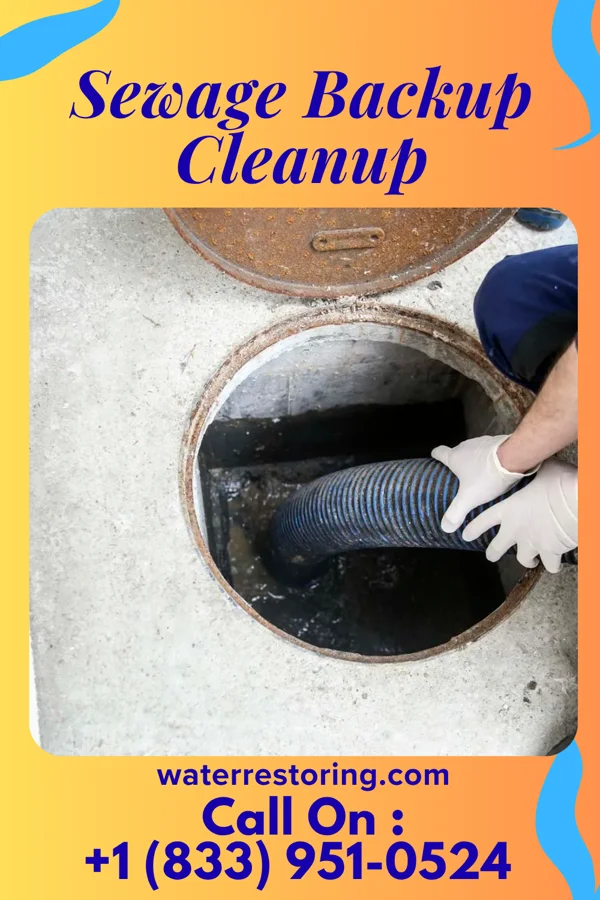 Sewage Backup Cleanup in Lenox, GA